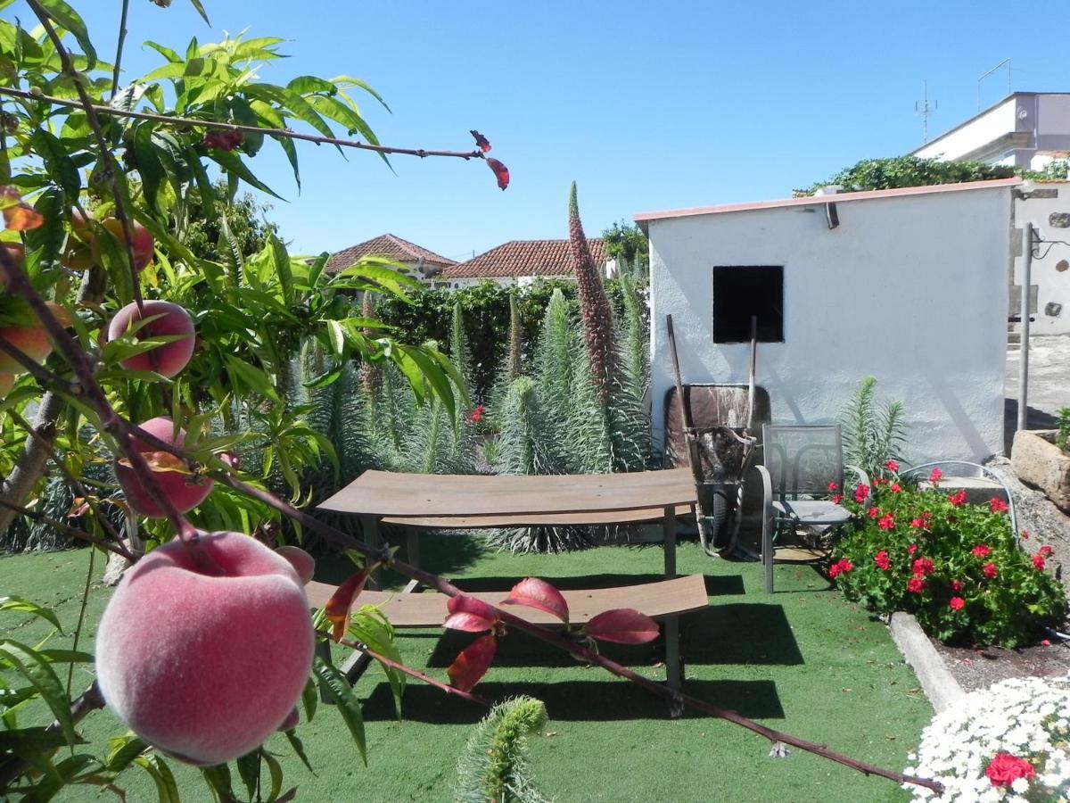 הוילה אדחה Casa Irma, Great Sea And Mountains Views, Rural House מראה חיצוני תמונה