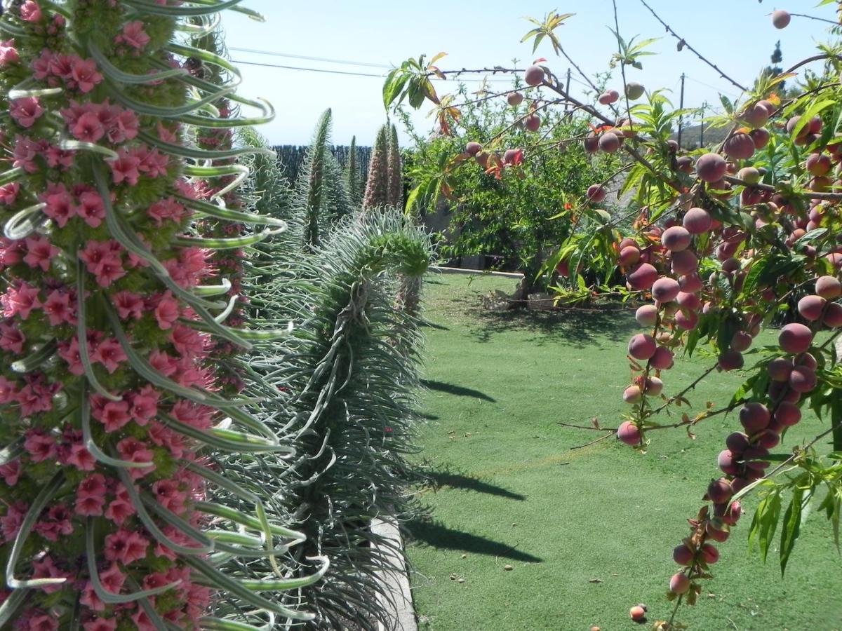 הוילה אדחה Casa Irma, Great Sea And Mountains Views, Rural House מראה חיצוני תמונה
